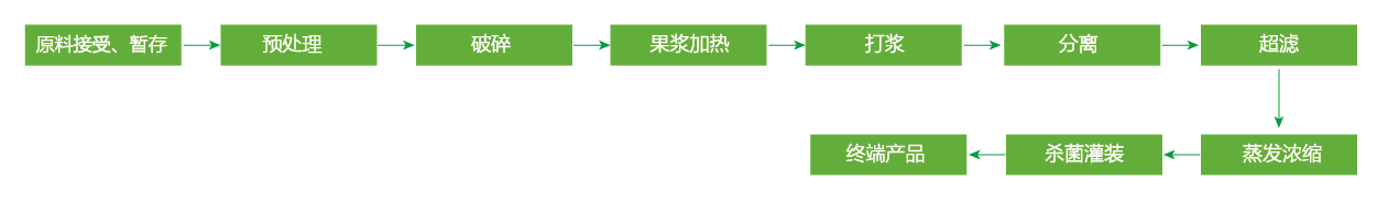 藍(lán)莓、草莓、桑葚濃縮汁